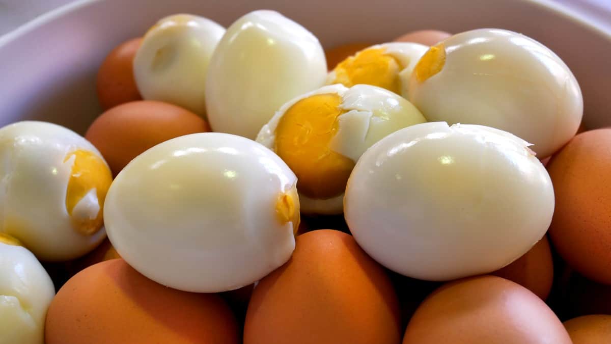Видео вареные яички. Вареные яйца. Вареные яйца высокое разрешение. К чему снятся вареные яйца. Цветные отварные яйца.